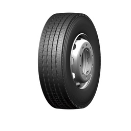 [EVG0062] NEUM. 315/80R22.5  20PR ESR579 DIRECC. EVERGREEN